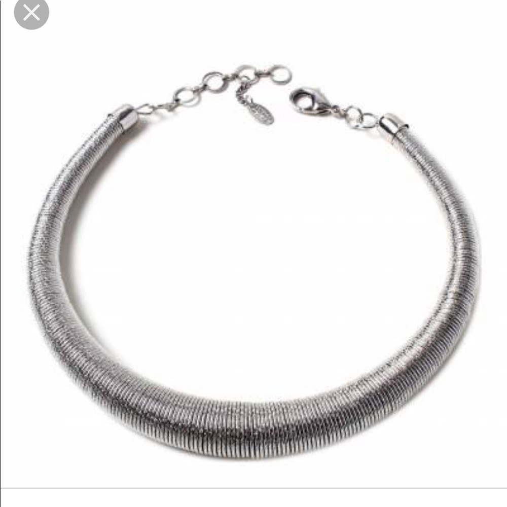 Amrita Singh silver croaker necklace